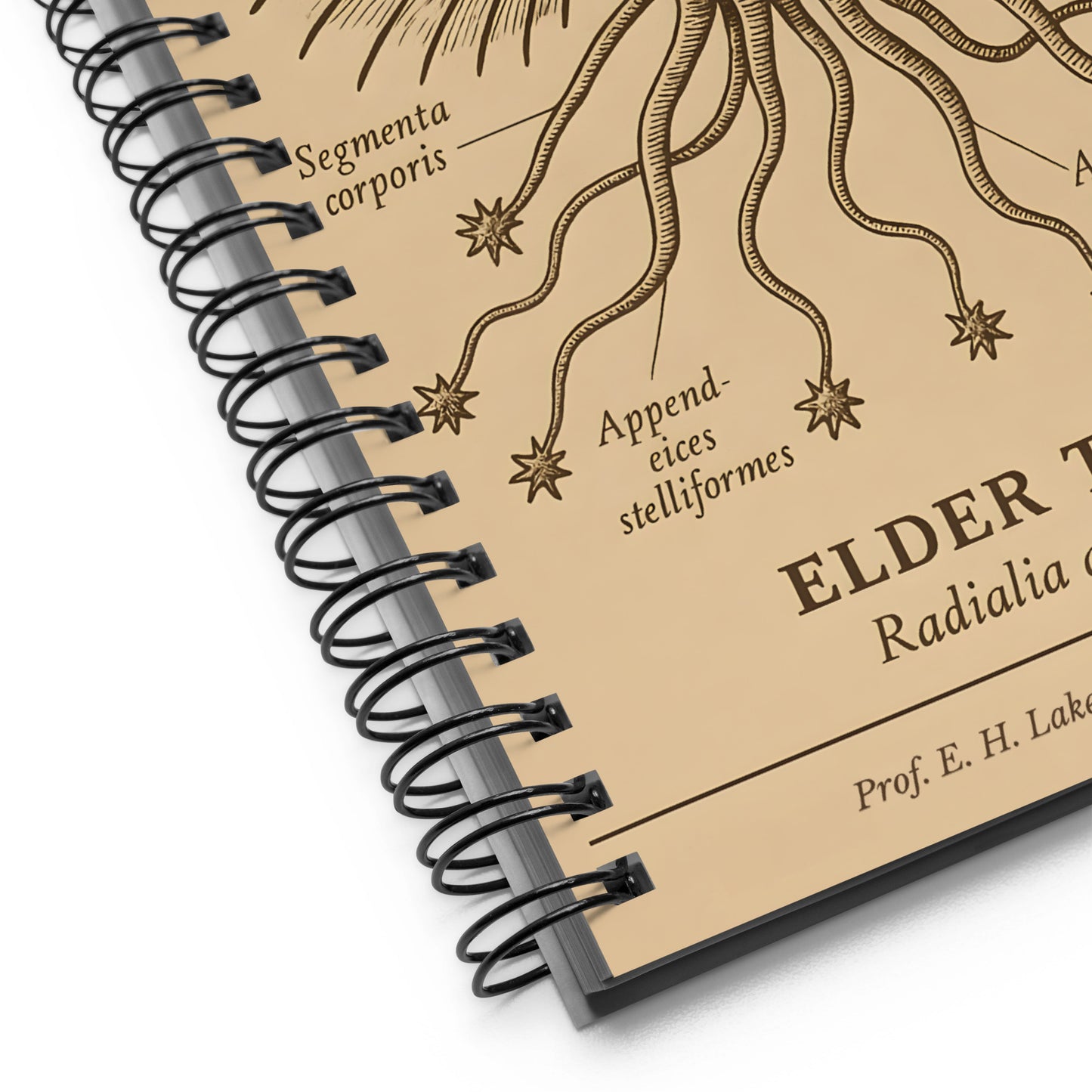 Spécimen de l'Ancien – Expédition Pabodie, Université Miskatonic (1931) Cahier à spirale